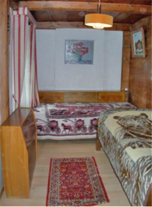 Apartments Dr. Med. Vet. Tempelman Interlaken Zimmer foto